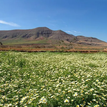 Boutique Oasis Casa Vieja 3*