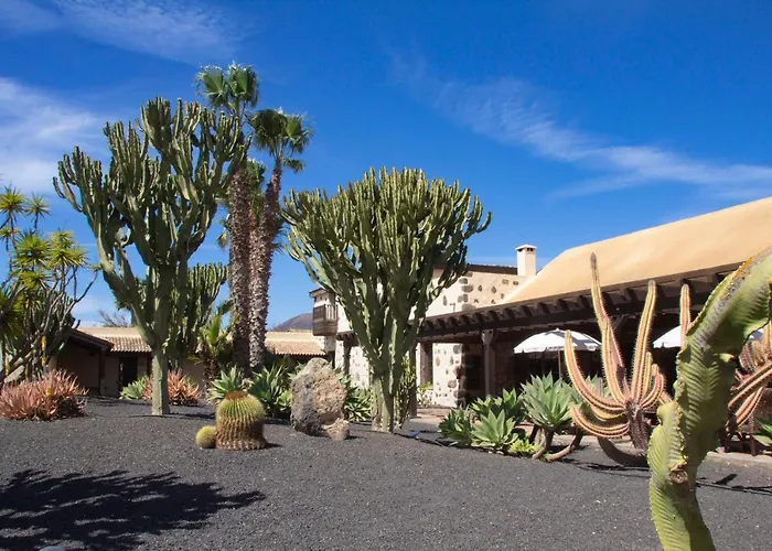 Boutique Oasis Casa Vieja 3* La Oliva