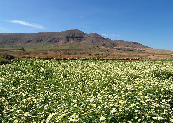 Boutique Oasis Casa Vieja 3*